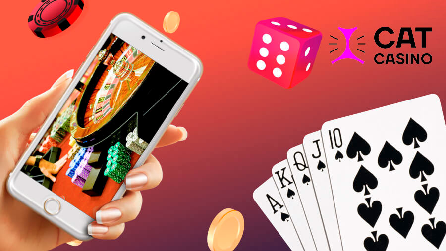 Cat casino скачать на Андроид
